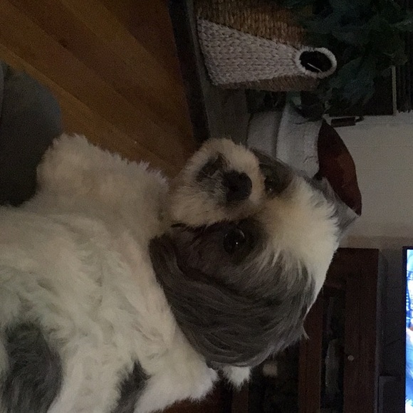 Meet your Posher, Belinda - Picture 1 of 1